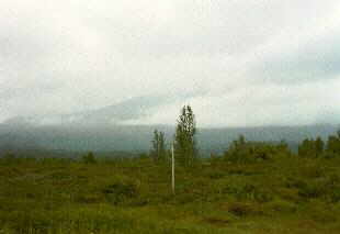 Moor auf dem Kungsleden