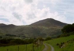 Moel Hebog (782 m)