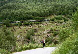 Flambahn auf dem Weg nach Myrdal