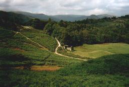 Zwischen Grasmere und Rydal Water