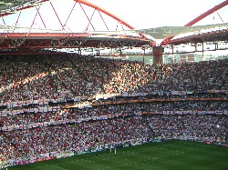 Der englische Fan-Block (englische Fans waren aber eingentlich überall)