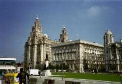 Royal Liver Building und Cunard Building