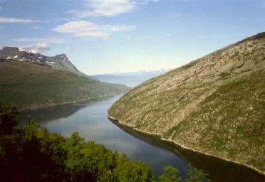 Blick auf den Rombaksfjord auf der Fahrt nach Narvik