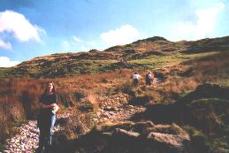 Auf dem Weg zum Wansfell Pike