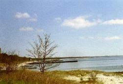 Ostseeküste bei Nybrostrand